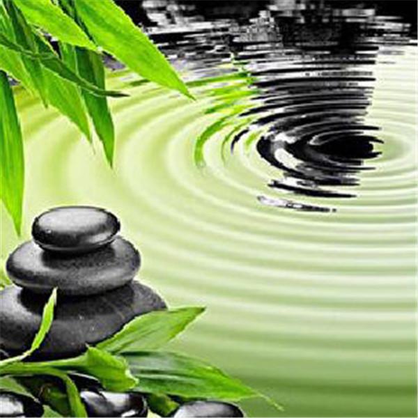 Aranjament cu flori cu diamante 5D DIY, vază cu flori, mozaic cu broderie cu diamante