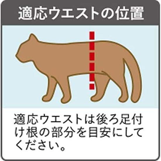 of Manners wear for S 38 pieces x 3 pieces [Set 3] cats, size,