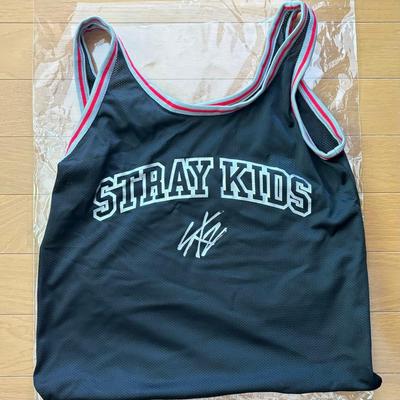 [USED] Straykids Ecopa Upgrade Mesh Bag Upgrade Japan Bonus