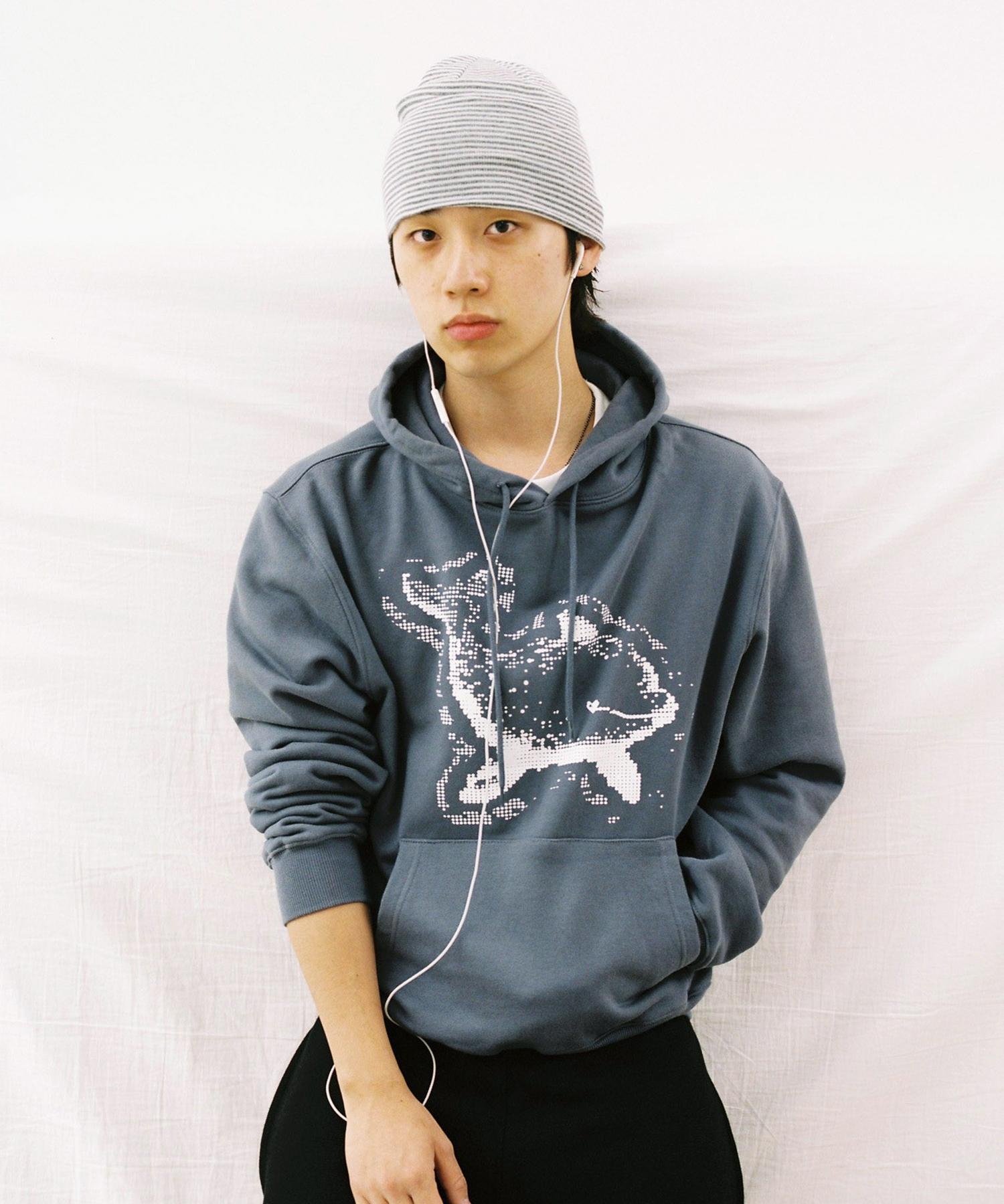 Web House Pixel Dolphin Hoodie - Charcoal Charcoal