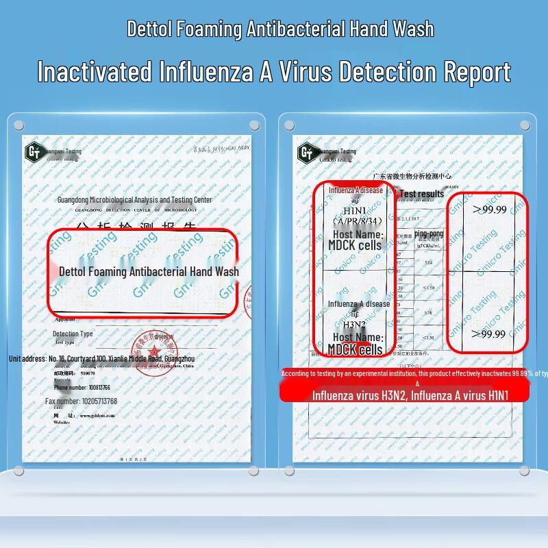 Walch Healthy Care Foaming Antibacterial Hand Soap (2 x 225ml)