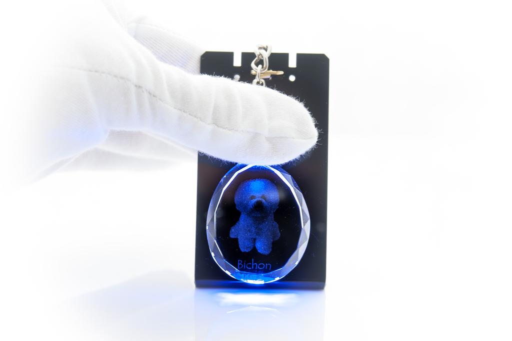 Bichon Frise, Bichon Tenerife, Bichon a Poil Frise - Pendant with a Photo of a Dog, Crystal Key Ring In a Gift Box, a Unique Gift by Art-Dog