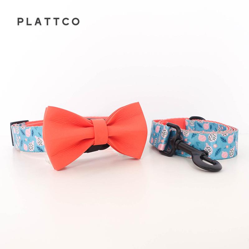 PLATTCO Pitaya Dog Leash & Collar Set PDC323 L