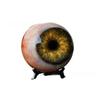 Monster Eye Resin Figurine Home Office Decor With Artistic Style For Giftgiving