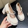 White high heels women's 2025 new spring temperament French single shoes versatile thick heel small leather shoes Mary Jane women's shoes