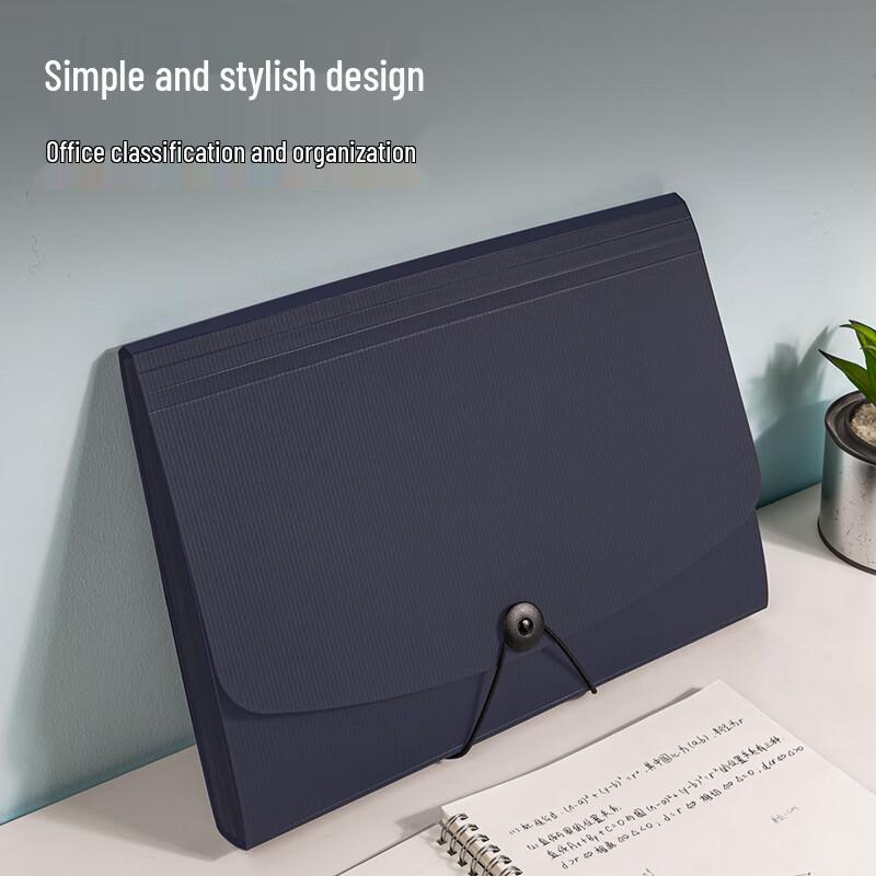 Deli A4 13-Pocket Accordion File Bag