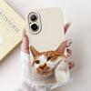 For Realme C67 4G Case RMX3890 Fashion Candy Painted Cover Soft Silicone Phone Case For Realme C67 C 67 RealmeC67 4G Fundas Capa