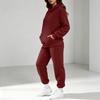 Women's Sweatshirt and Sweatpants Set Long Sleeve Elastic Waist Casual Fall Winter Wear