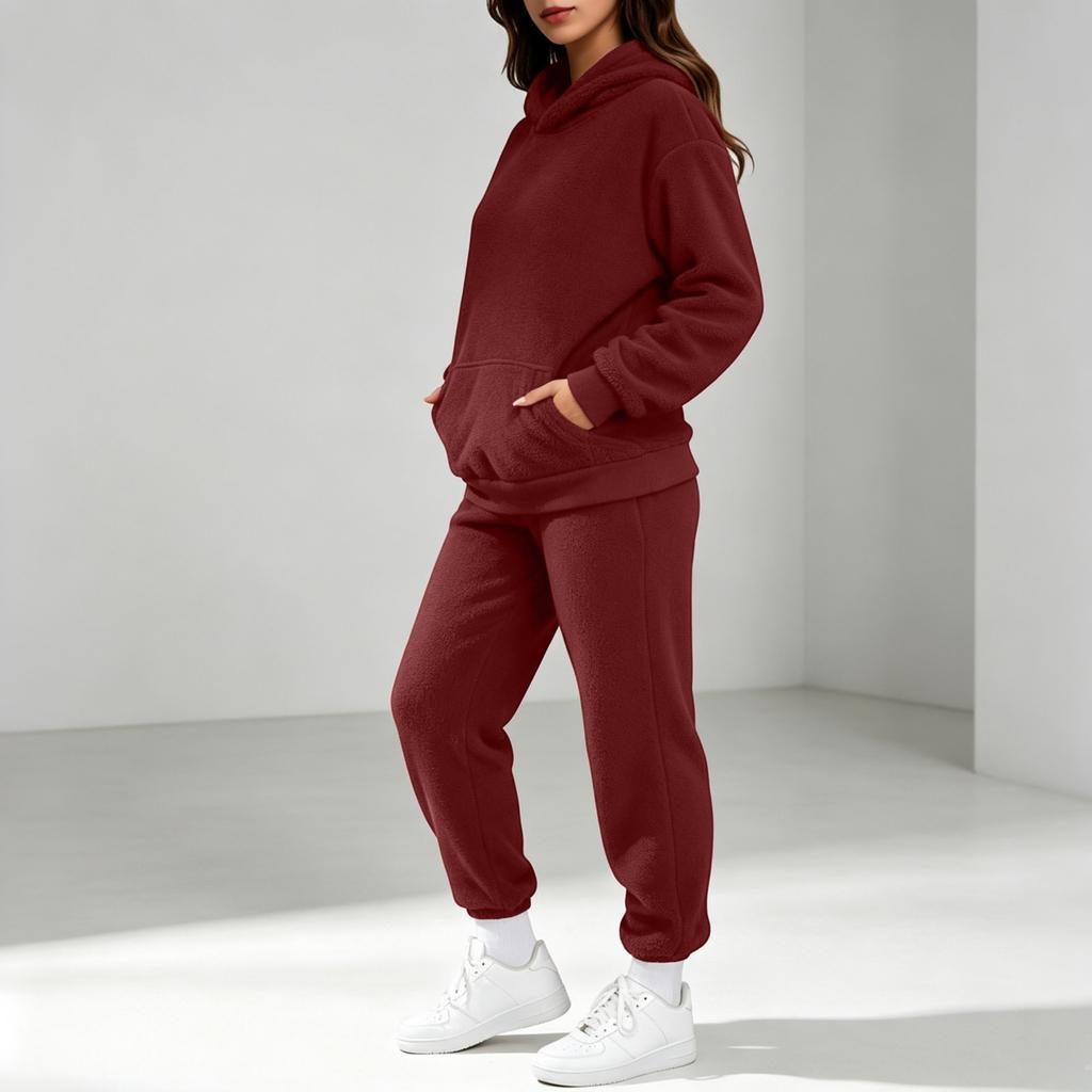Women's Sweatshirt and Sweatpants Set Long Sleeve Elastic Waist Casual Fall Winter Wear