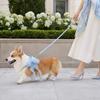 Cat And Small Dog Harness and Leash Set Adjustable H-Style Pet Harness