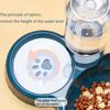 3 In 1 Pet Bowls With Water Feeder Detachable 15° Tilted Cat Bowl Automatic Drinking Feeder Suitable For Small Or Medium Cats And Dogs Decor
