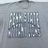 Vintage 80s PENN STATE NITTANY LIONS T-Shirt MEDIUM/LARGE Football Ncaa Psu Thin