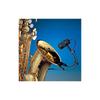 Audio-Technica PRO35 Condenser Microphone, XLR, for Brass Instruments, Saxophone, Trumpet, Includes Instrument Microphone Holder, Back Electret,