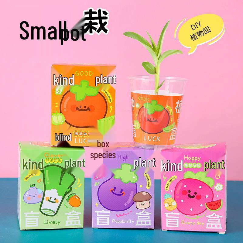 Kids' Mini Plant Observation Box: Small Potted Plants with Seeds for Kindergarten and Primary School Students