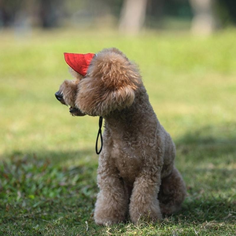 Stylish Dog Cap 4 Size Available Breathable Design Pet Sun Hat For Daily Walks And Play Beach
