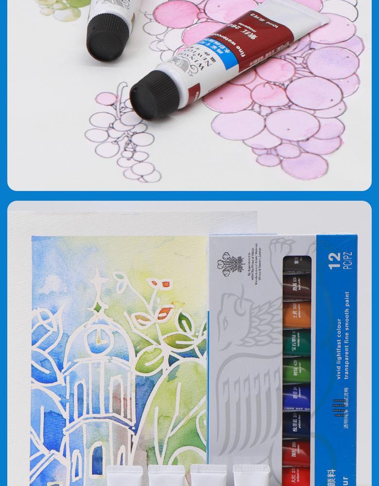 Winsor & Newton Professional Watercolor Set for Artists & Beginners