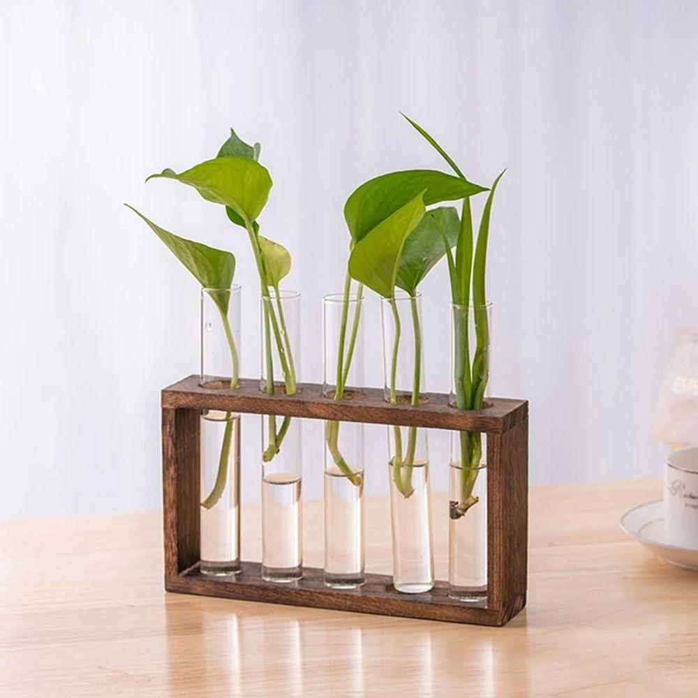 Wood Frame Test Tube Vases Transparent Glass Glass Planter Hydroponic Plants Container  Home Decor
