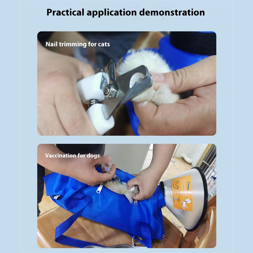 Foldable Pet Carrier Backpack Lightweight Nylon Material Breathable Mesh Portable Design For Cats And Small Dogs