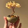 Citrine Money Tree with Agate Base - Fortune-Attracting Ornament for Home or Office