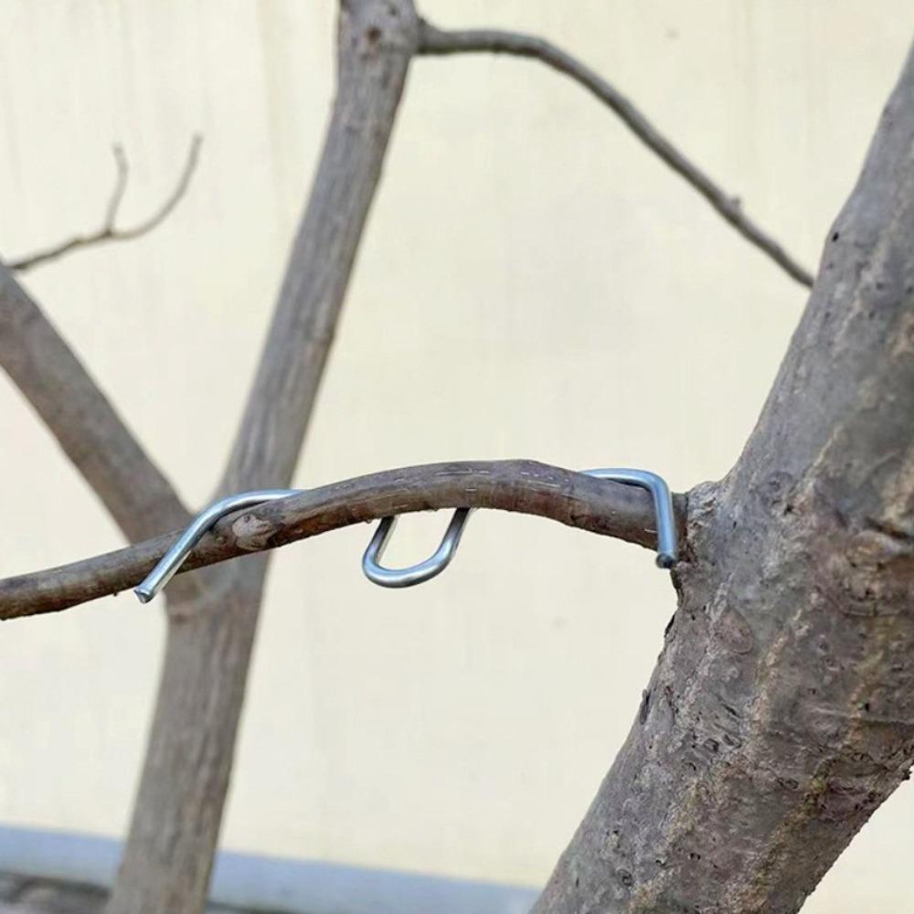 M-Type Fruit Tree Branch Bender, Branch Shaping Fixator for Upward Lateral Branches, Garden Fruit Tree Branch Pressing Training Tool