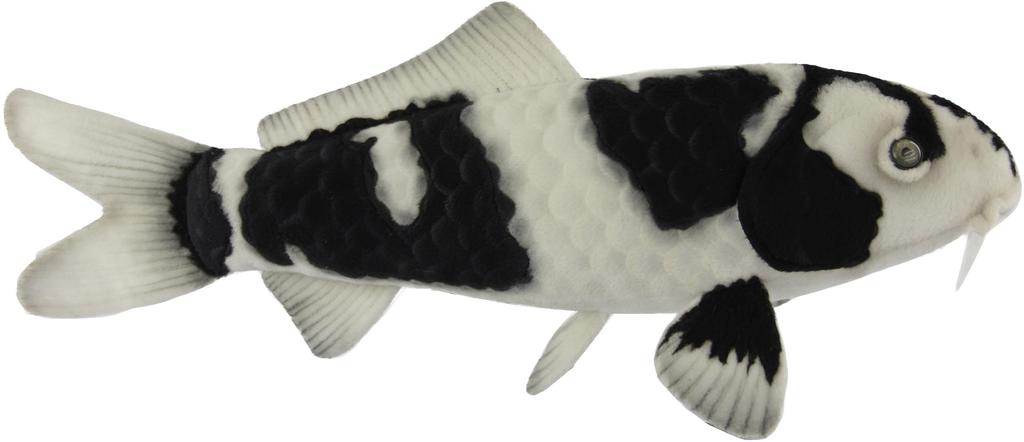 BH8282 HANSA Nishikigoi White 52