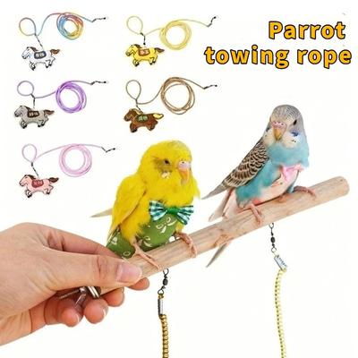 Pájaros – Accesorios de entrenamiento de pájaros