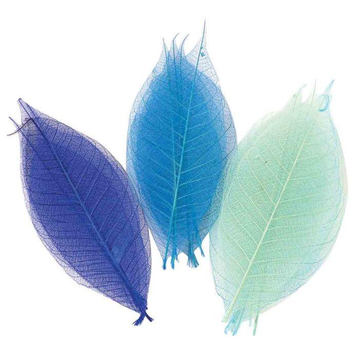 Squelettes de feuilles Assortiment Bleu 8 cm 20 pièces