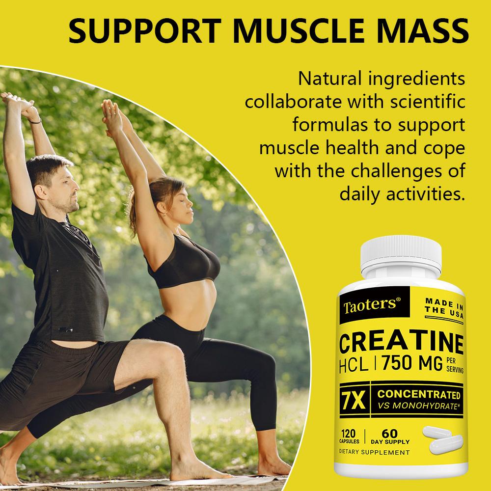 Taoters Creatine Hydrochloride Capsules Support Muscle and Immune Health 120 Capsules