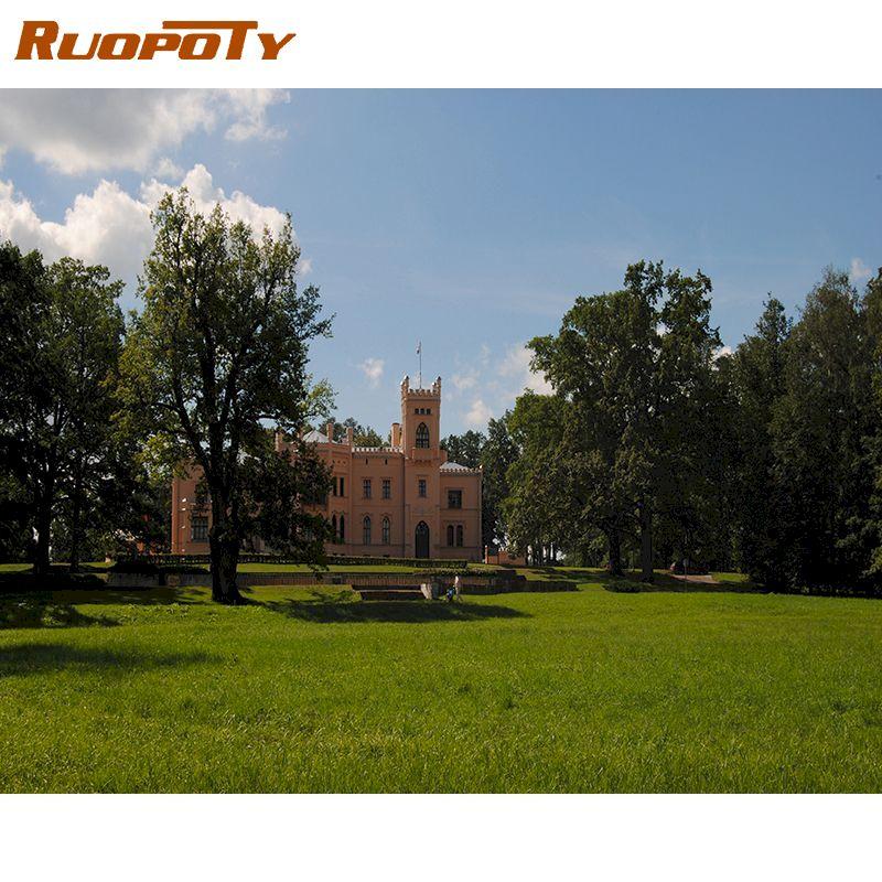 

Ruopoty Forest Picture DIY Набор для рисования по номерам Пейзаж Ручная роспись акриловая краска по номерам Настенная картина для домашнего искусства 40x50CM Безрамное 40x50CM NO Frame