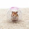 Mouse Exercise Playing Climbing Toy Hamster Exercise Toys Small Animal Products Colorful Little Hamster Accessories