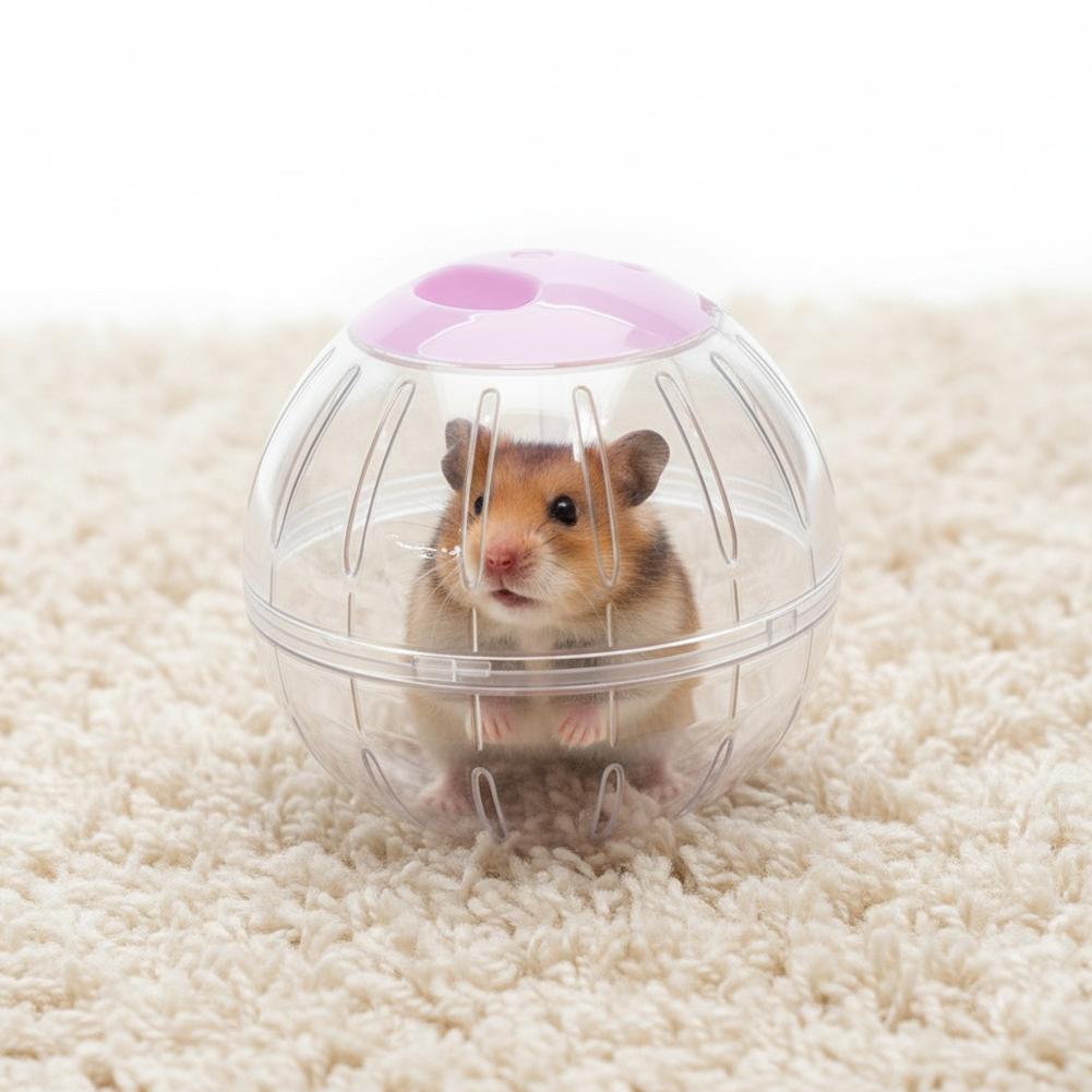 Mouse Exercise Playing Climbing Toy Hamster Exercise Toys Small Animal Products Colorful Little Hamster Accessories
