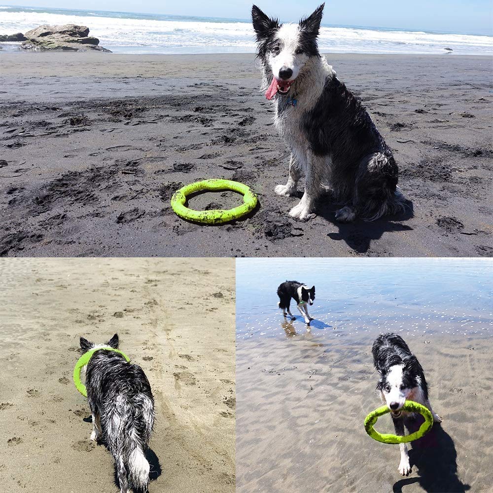 LaRoo Dog Dental Hračky pro velké psy Kulatý frisbee Odbourávání stresu pro psy Inteligence domácích mazlíčků Plovoucí tréninková hračka, Odolná, Trénink, Hračka. (30CM zelená)
