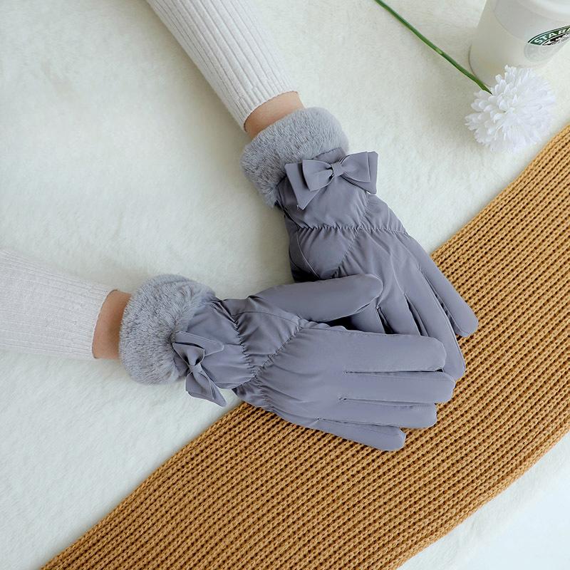 Winter Ladies Gloves Plus Velvet Padded Rainproof Gloves Outdoor Windproof and Cold Proof Warm Touch Screen