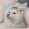 pc Realistic Siberian Husky Print Pillowcase Set  Polyester NonEmbroidery Cushion Covers for Sofa Bed Dog Lover Home Decor