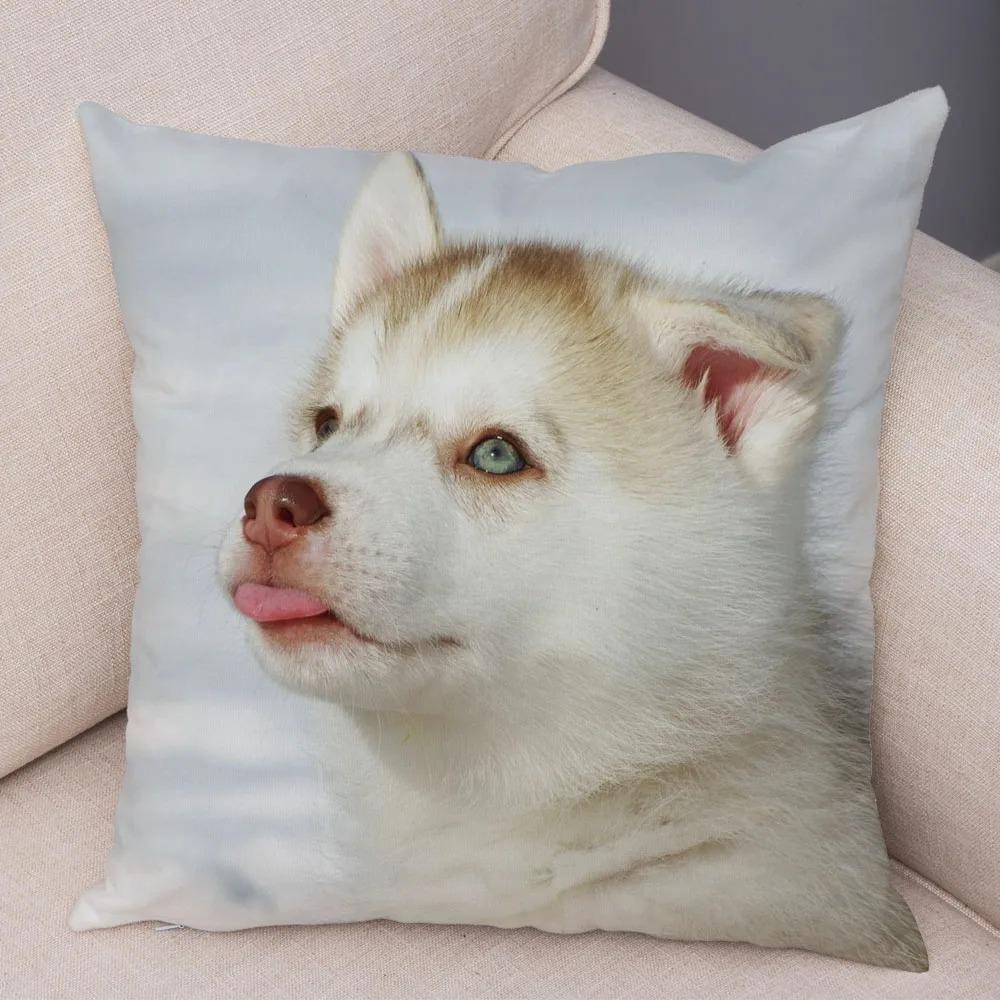 pc Realistic Siberian Husky Print Pillowcase Set Polyester NonEmbroidery Cushion Covers for Sofa Bed Dog Lover Home Decor