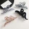 Transparent Hair Clips Acrylic Hair Pins Korean Style Hair Claws  Wash Face