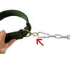 Bite-Resistant Rust-Proof Dog Leash and Chain Collar