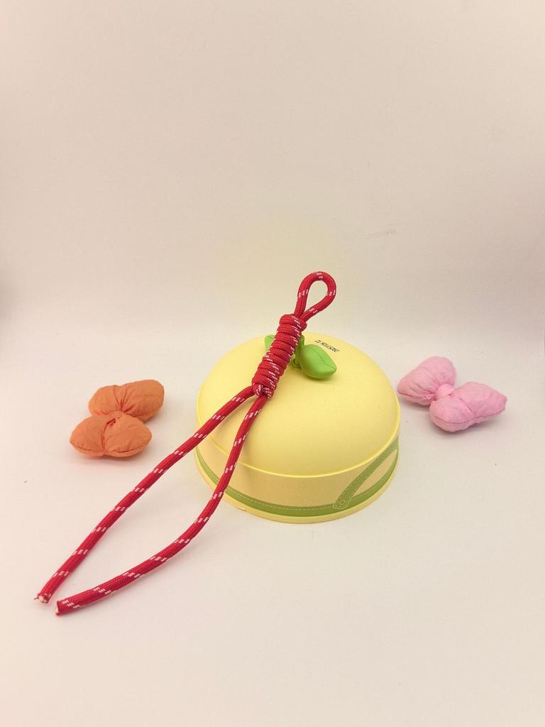 Spot Color Hand-Woven Rope Lanyard Pendant Trendy Color Nylon Rope Bag Keychain Pendant High Sense