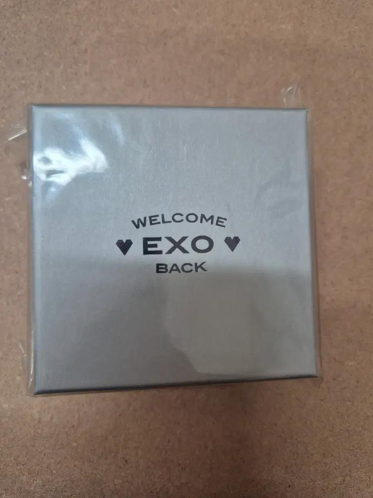 EXO (Unopened) Welcome Back Necklace & Tag Keyring Chain