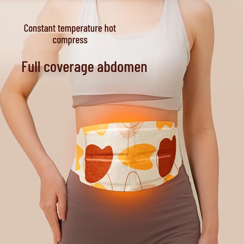 HeZheng Self-Heating Warming Waist Patch Set CN plug (adapter included)