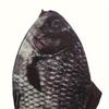 Realistic Crucian Carp-Shaped Pencil Case - Large Capacity Polyester Stationery Box, Portable Student Organizer (1pc)