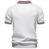 Ralph Lauren 2026 Summer New Men's Embroidery Casual Contrasting Polo Shirt Short Sleeved Men's Woolen Top