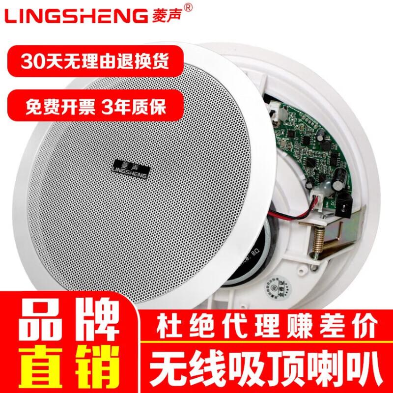 

LINGSHENG Wireless Bluetooth Active Ceiling/Wall Speaker CN plug (adapter included)