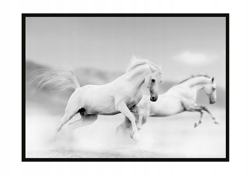 Picture poster In a frame 43x33 cm Horses P901