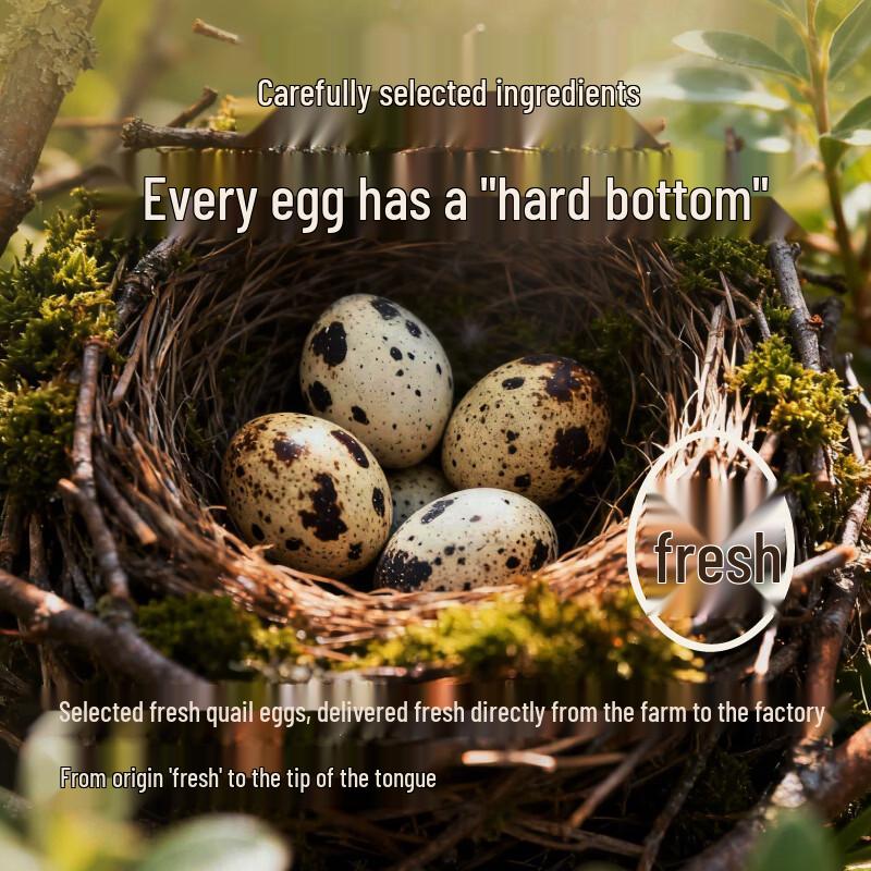 Nutritious DHA & Protein Quail Eggs