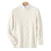 Men's Wool Round Neck Sweater - 2025 Fall/Winter Fashion Knitwear, Casual Loose Fit, Thickened Base Layer