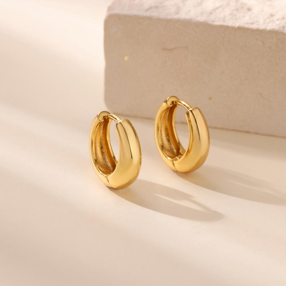 Classic Hoop Earrings For Women Girls Gold Color Chunky Stainless Steel Earrings  Trend New In Minimalist Ear Jewelry Aretes