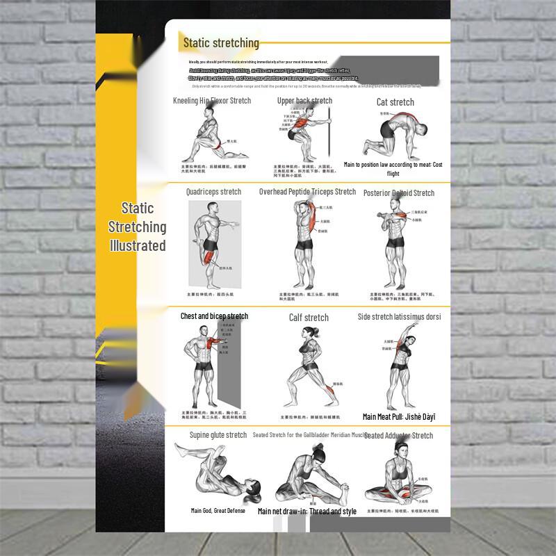 Fitness Training Pose Action Charts (PP Adhesive 40x60cm)