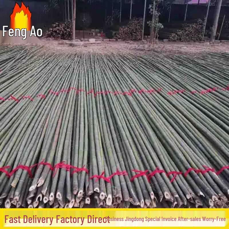 Outdoor Bamboo Flag Poles