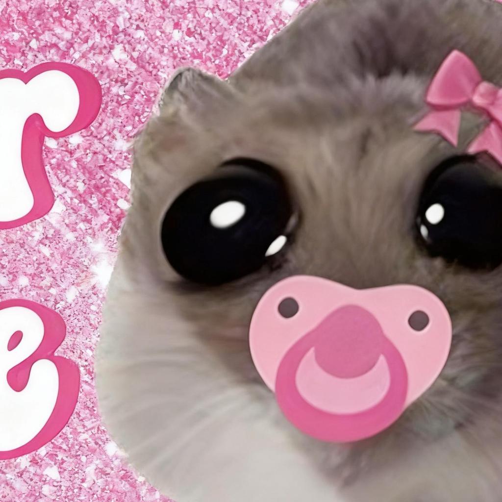 22x8cm Magneet voor Chauffeur Nieuwe Chauffeur Teken Stickers voor Auto's Grappig Dierontwerp voor Rijles Veiligheidstraining Voertuig Bumper